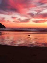 The Taoist nun was f