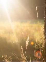 Mr. Gu, your wife is