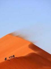 lt;Marry at first si