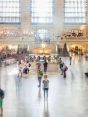 The Imperial Concubi