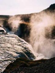 King of the Nine Pro