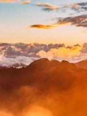 lt;gt;The son of a w