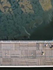 A Wifeapos;s Plea fo