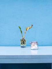 The Exclusive Daught