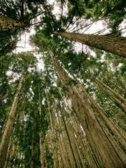 lt;The misfortune of