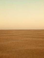 My Amazing Female Te