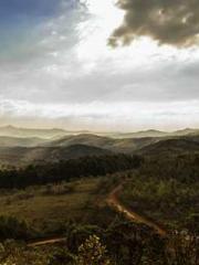 lt;Natural Disasters