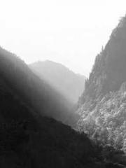 The Imperial Concubi