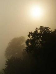 Celestial Eye: Peerl