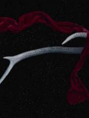 Rong Shao Nan Ning Y