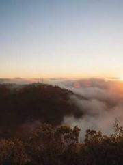 Falling for You: The