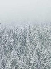 After the Divorce, I