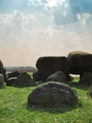 The Hardships of a D