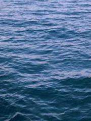 lt;lt;lt;Reborn Soar