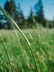 lt;lt;lt;Visionary S